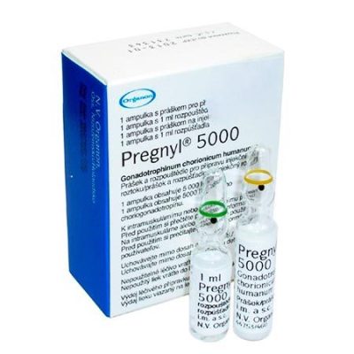 Acheter pregnyl-5000iu-hcg-acheter gonadotropin 5000-dosage pregnyl